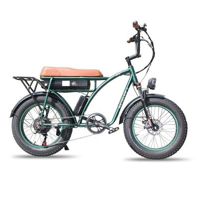 23AH Capacité de batterie 1000W 2000W Moteur 20 pouces Fat Bike vélo électrique Support personnalisé