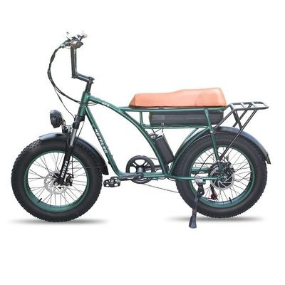 23AH Capacité de batterie 1000W 2000W Moteur 20 pouces Fat Bike vélo électrique Support personnalisé
