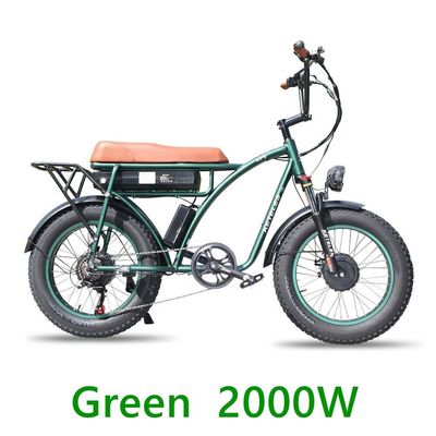 48V 23Ah batterie au lithium vélo électrique avec frein à disque mécanique et moteur puissant