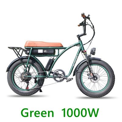 48V 23Ah batterie au lithium vélo électrique avec frein à disque mécanique et moteur puissant