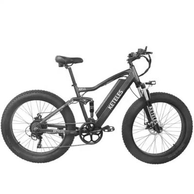 Vélo de montagne électrique à moteur 48V 250W avec batterie au lithium de 10AH et batterie intégrée