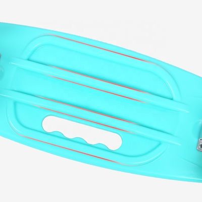 Plaque plate portatif petite planche de poisson imprimé planche à roulettes à quatre roues moteur flash mobilité scooter pour garçons et filles