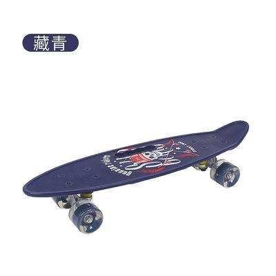 Plaque plate portatif petite planche de poisson imprimé planche à roulettes à quatre roues moteur flash mobilité scooter pour garçons et filles