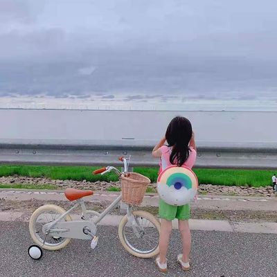 Alloy Rim INS Style 16 pouces vélo rétro pour enfants à une vitesse pour les enfants de 4-8 ans
