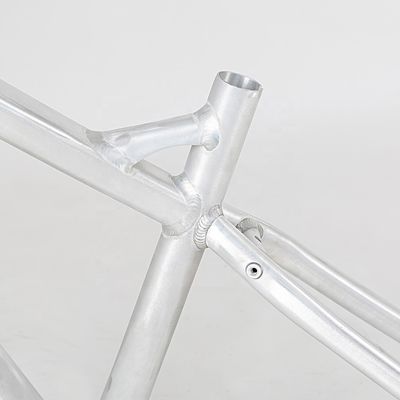 48V10A500W Motor Power Vélo électrique avec batterie cachée et frein à disque à traction de câble