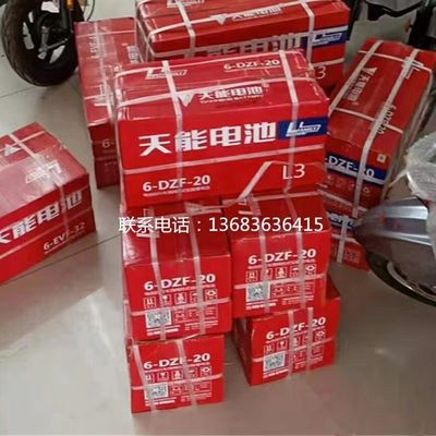 12V20.2Ah 6-DZF-20.2 batterie à chargement sec GEL scellée au plomb pour planche à roulettes électrique