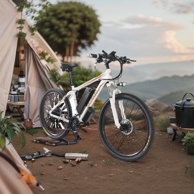 Découvrez la puissance du moteur de 26 pouces professionnel K820 Mountain E-Bike 48V 350W