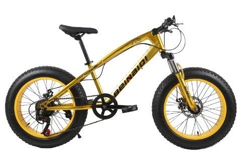 Vélo de neige de plage pour enfants de 20 pouces 4.0 pneus gras Vélo de montagne avec vitesse 7/21/24/27