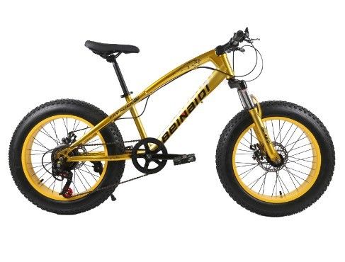 Vélo de neige de plage pour enfants de 20 pouces 4.0 pneus gras Vélo de montagne avec vitesse 7/21/24/27